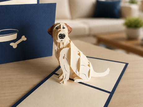 Labrador