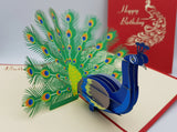 Peacock Birthday