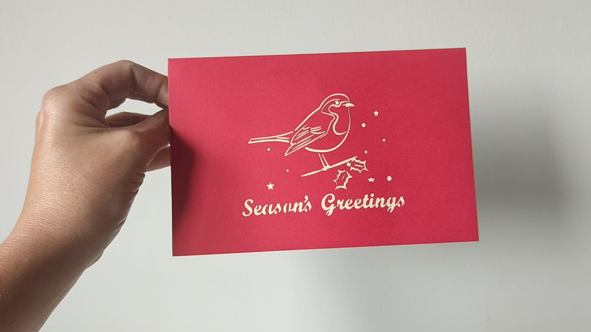 Christmas Robin