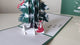 Nollaig Shona Péine Geimhridh