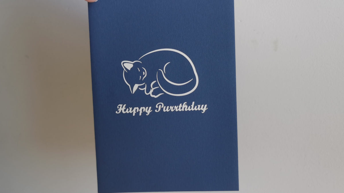 Birthday Cat