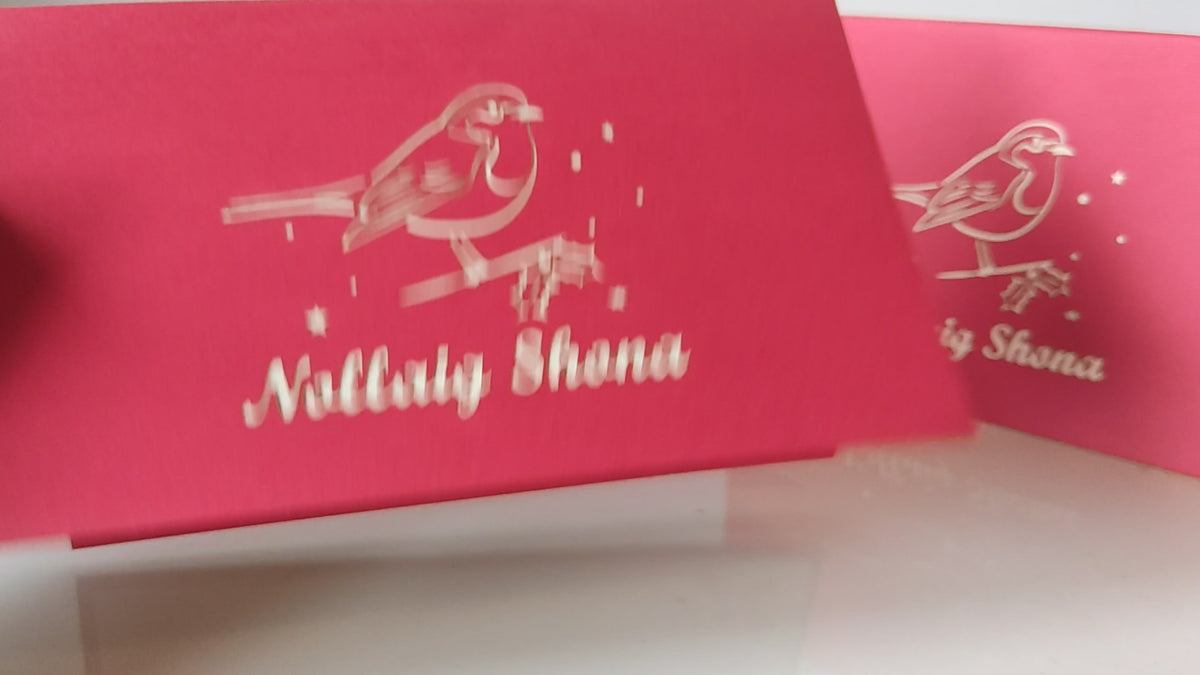 Nollaig Shona Robin