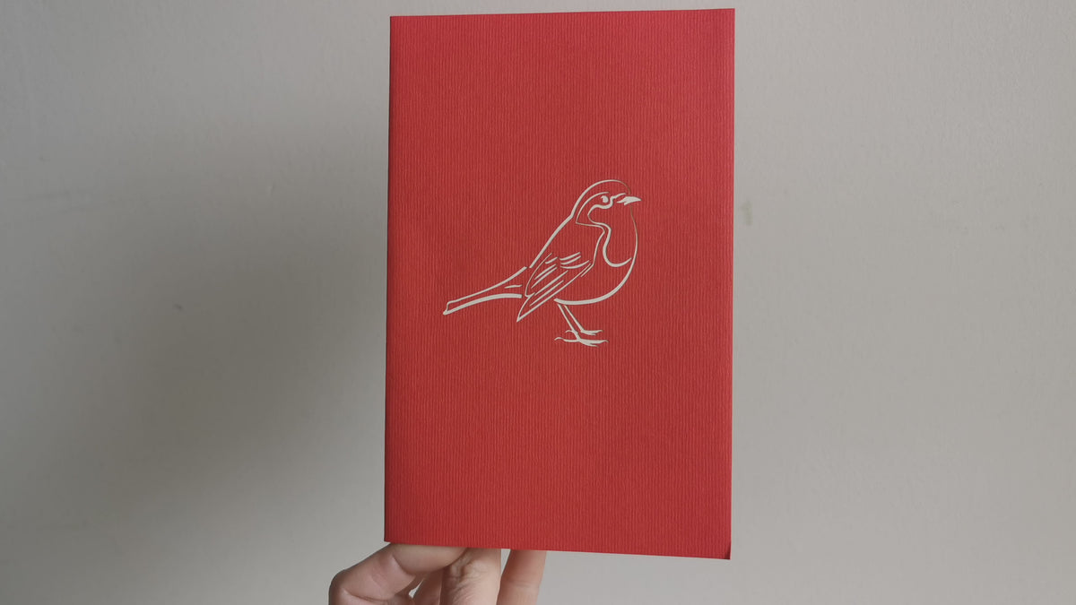Robin Pop Up Card