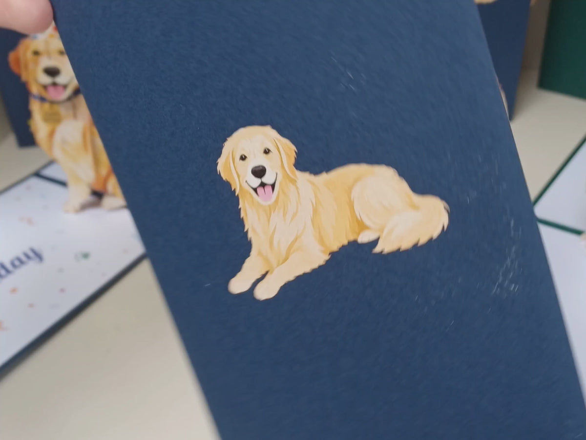 Golden Retriever