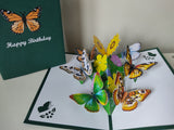 Birthday Butterfly Garden