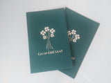 Go n-éirí leat