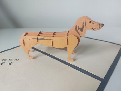 Sausage Dog