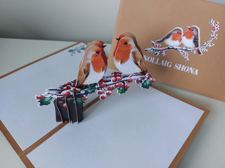 Nollaig Shona Robins