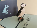 Puffin