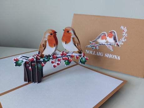 Nollaig Shona Robins