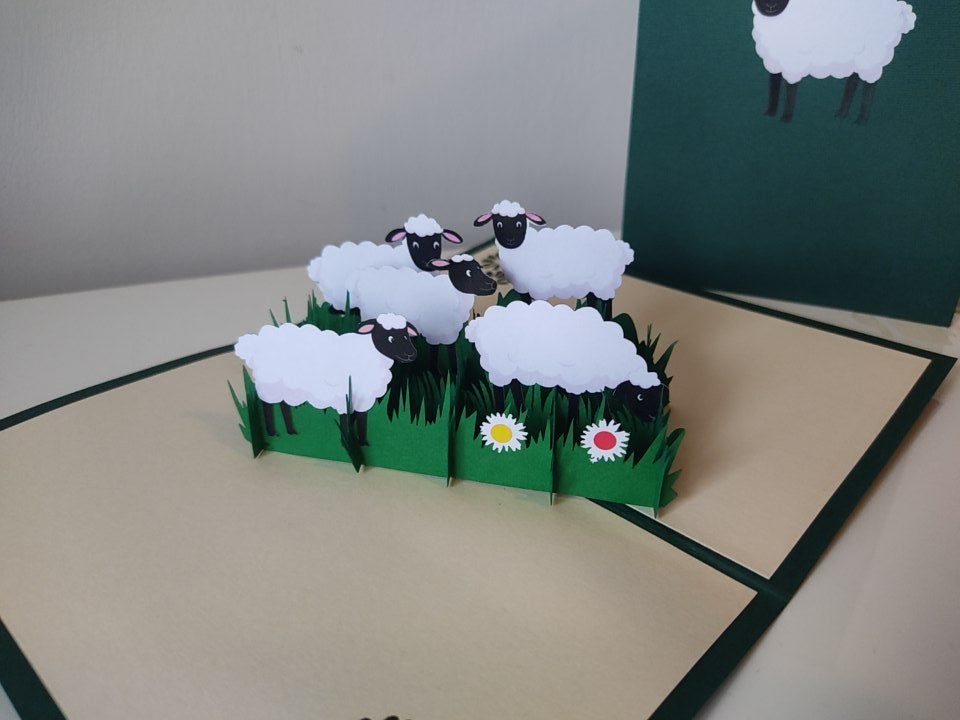 Field of Sheep