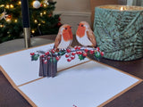 Nollaig Shona Robins