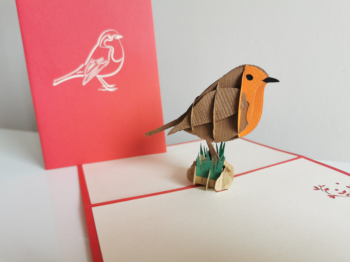 Robin Pop Up Card