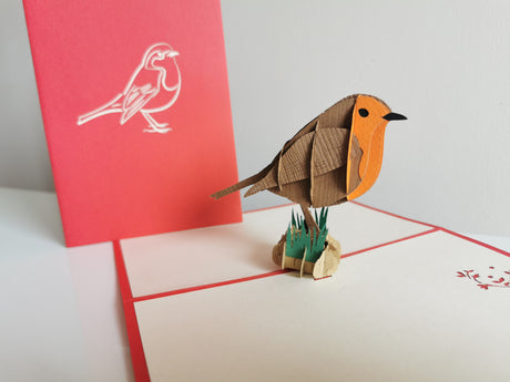 Robin Pop Up Card
