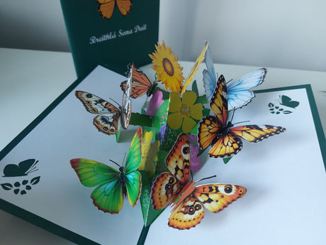 Breithlá Butterfly Garden