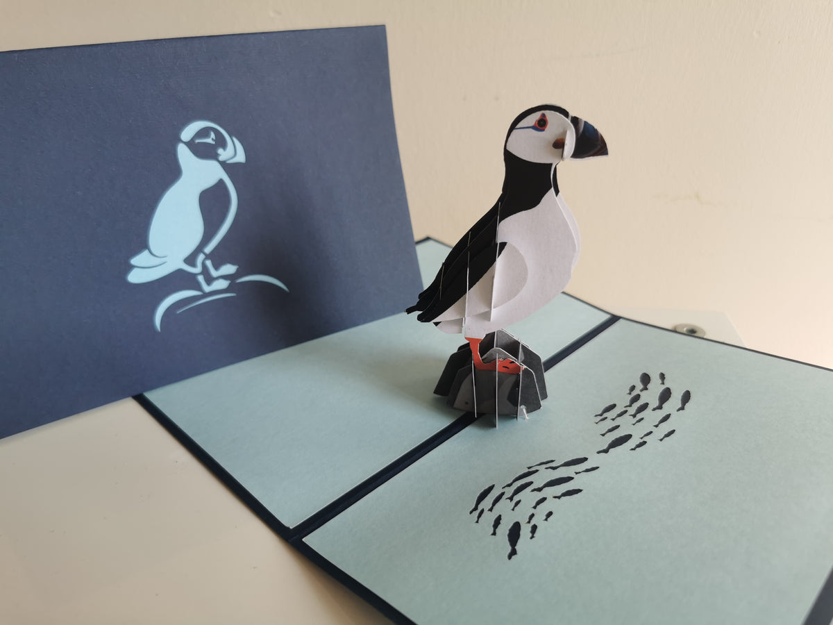 Big Bird Pop Up Card Bundle(10 pack)