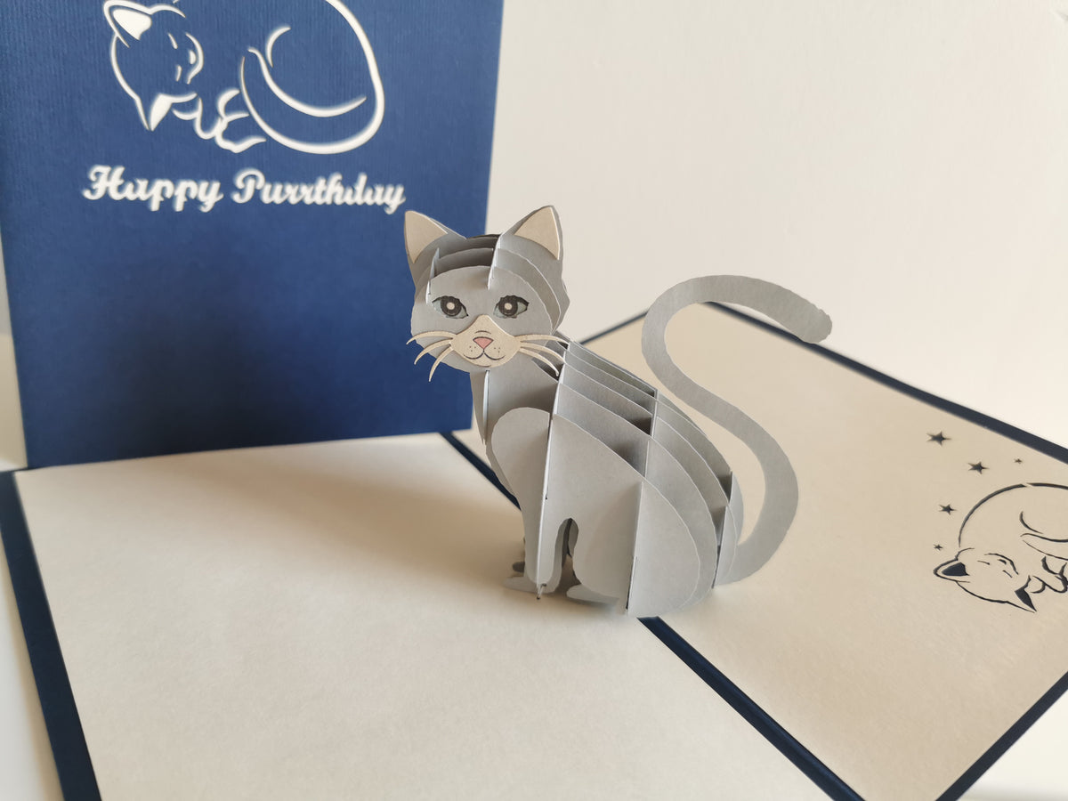 Birthday Cat