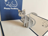 Birthday Cat