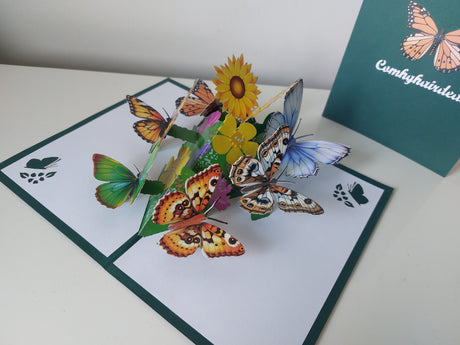 Comhghairdeas Butterfly Garden