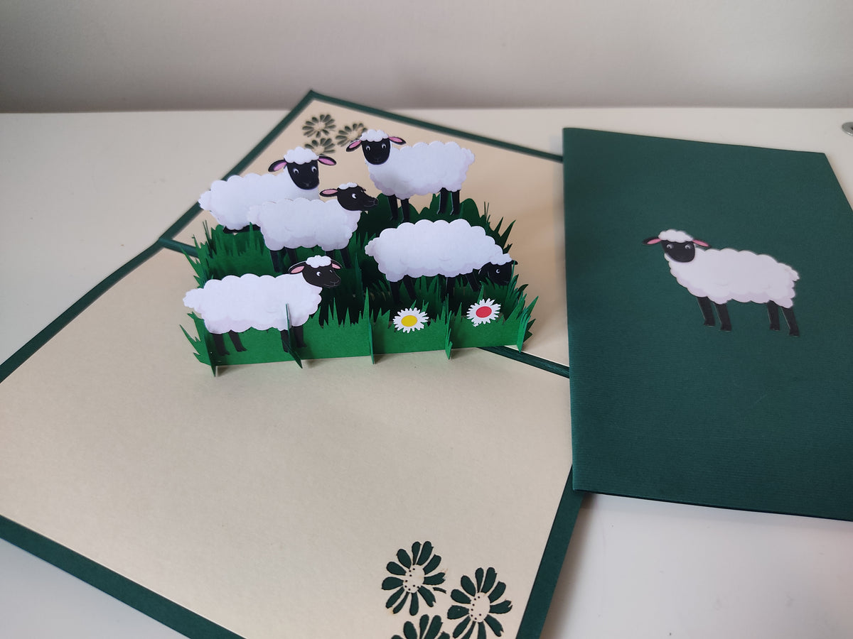 Field of Sheep