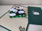 Field of Sheep
