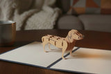 Sausage Dog