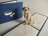 Labrador