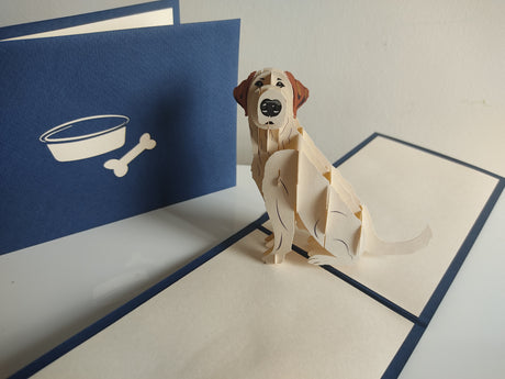 Labrador