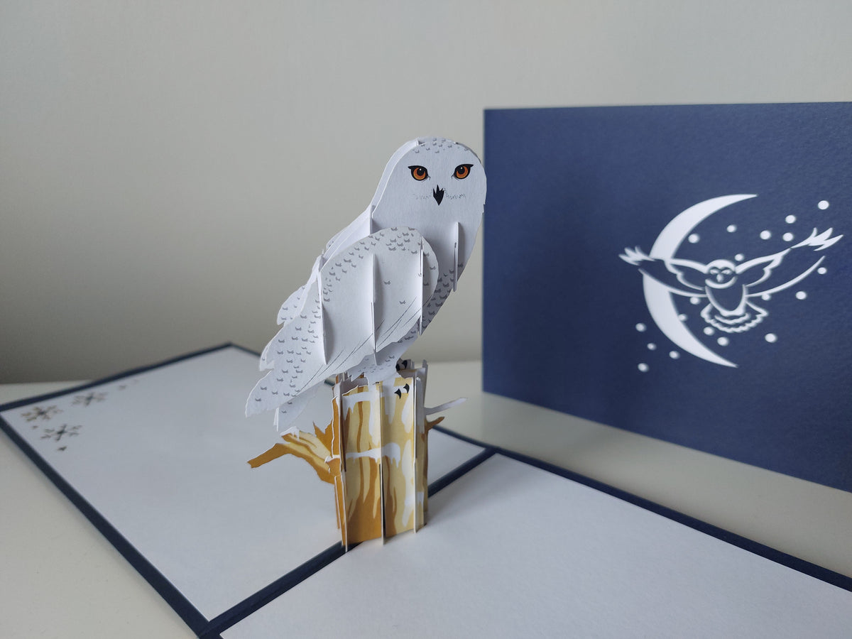 Snowy Owl