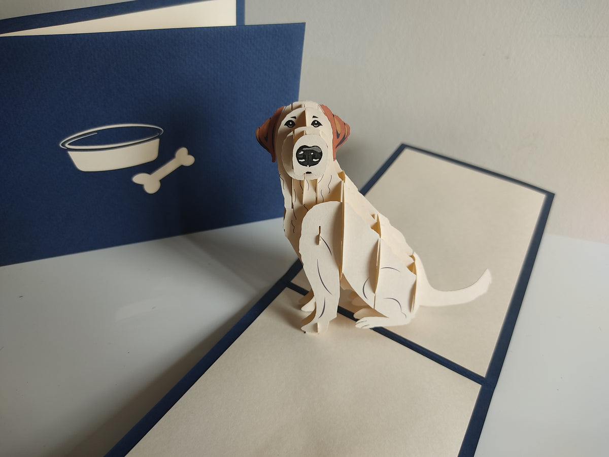 Labrador