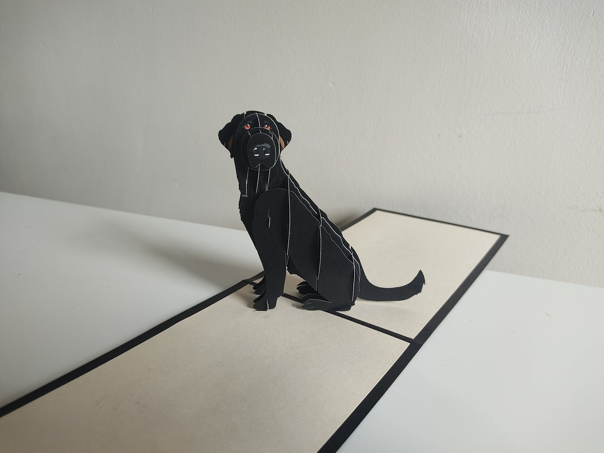 Labrador