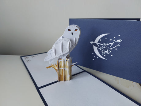 Snowy Owl