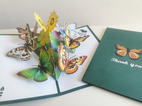 Butterfly Garden