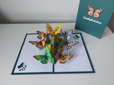 Comhghairdeas Butterfly Garden