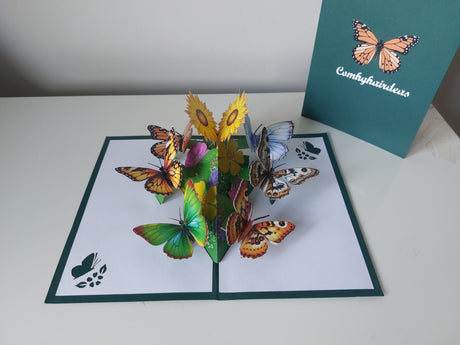 Butterfly Garden
