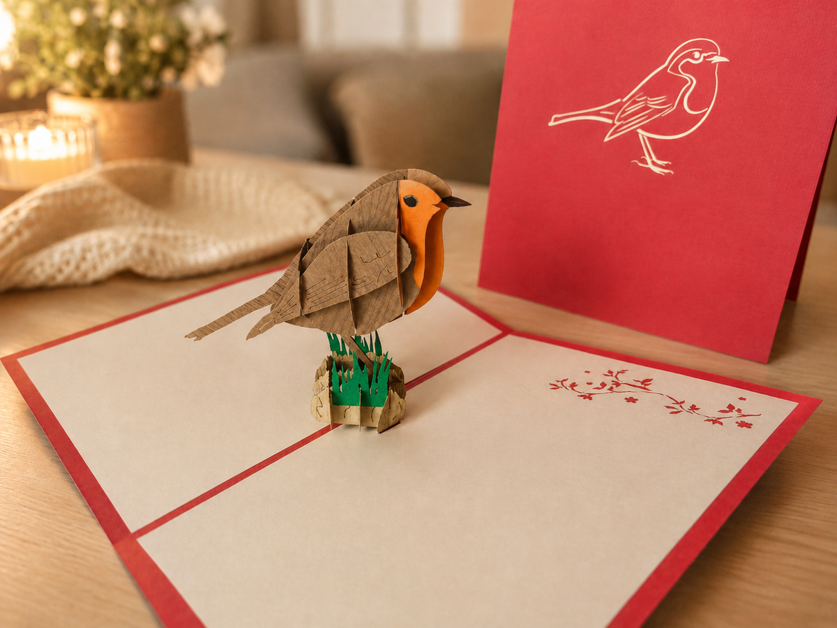 Big Bird Pop Up Card Bundle(10 pack)