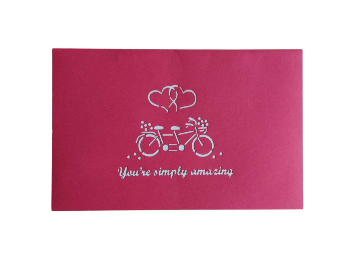 'You're simply amazing' Tandem Bike