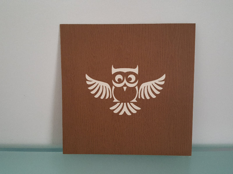 Owl