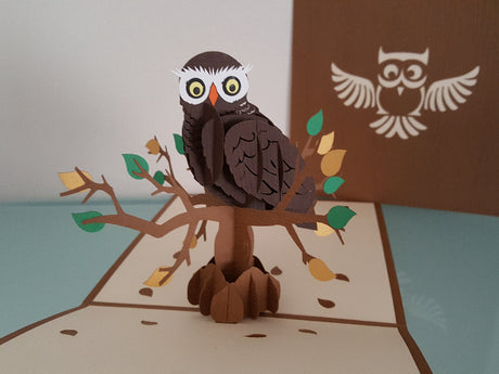 Owl