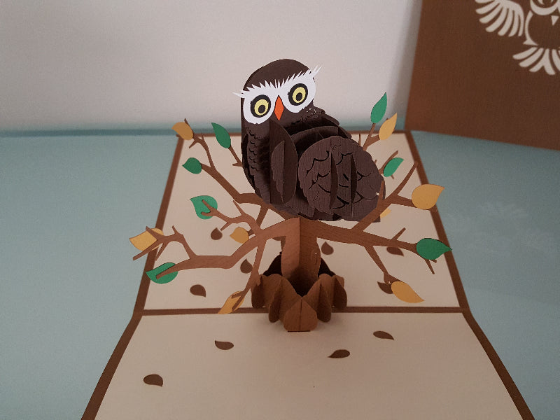 Owl
