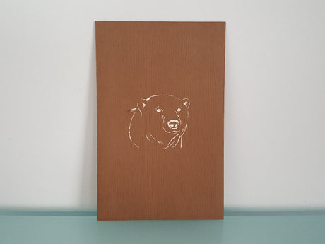 Bear Necessities