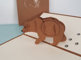 Bear Necessities