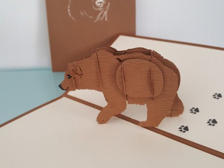 Bear Necessities