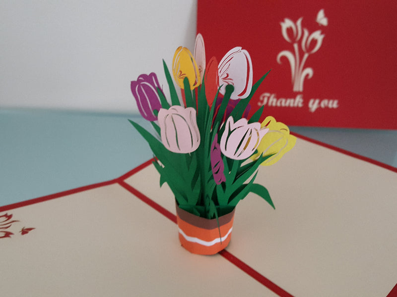 Thank You Tulips