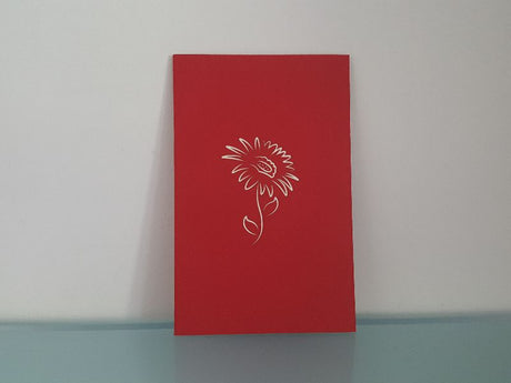 Gerbera Daisies