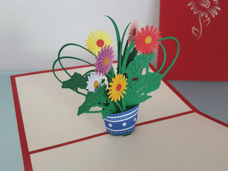 Gerbera Daisies