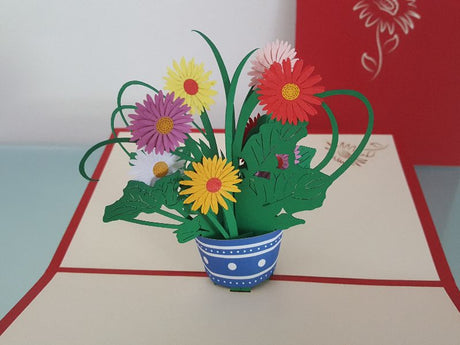Gerbera Daisies
