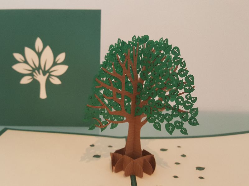 Leafy Tree