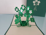 Clover