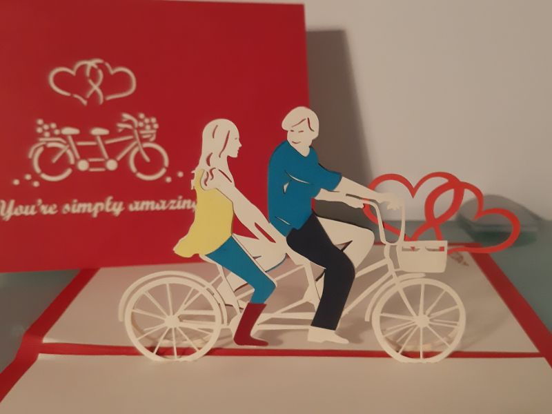 'You're simply amazing' Tandem Bike
